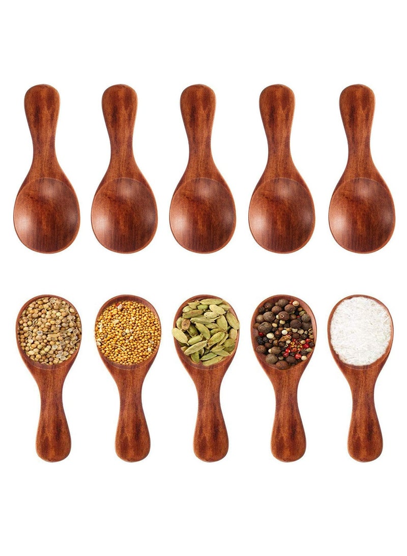 Oasisgalore 10 Pack Mini Wood Spoon with Short Handle Small Wooden Salt Spoon for Sugar, Honey, Coffee  - Image 1