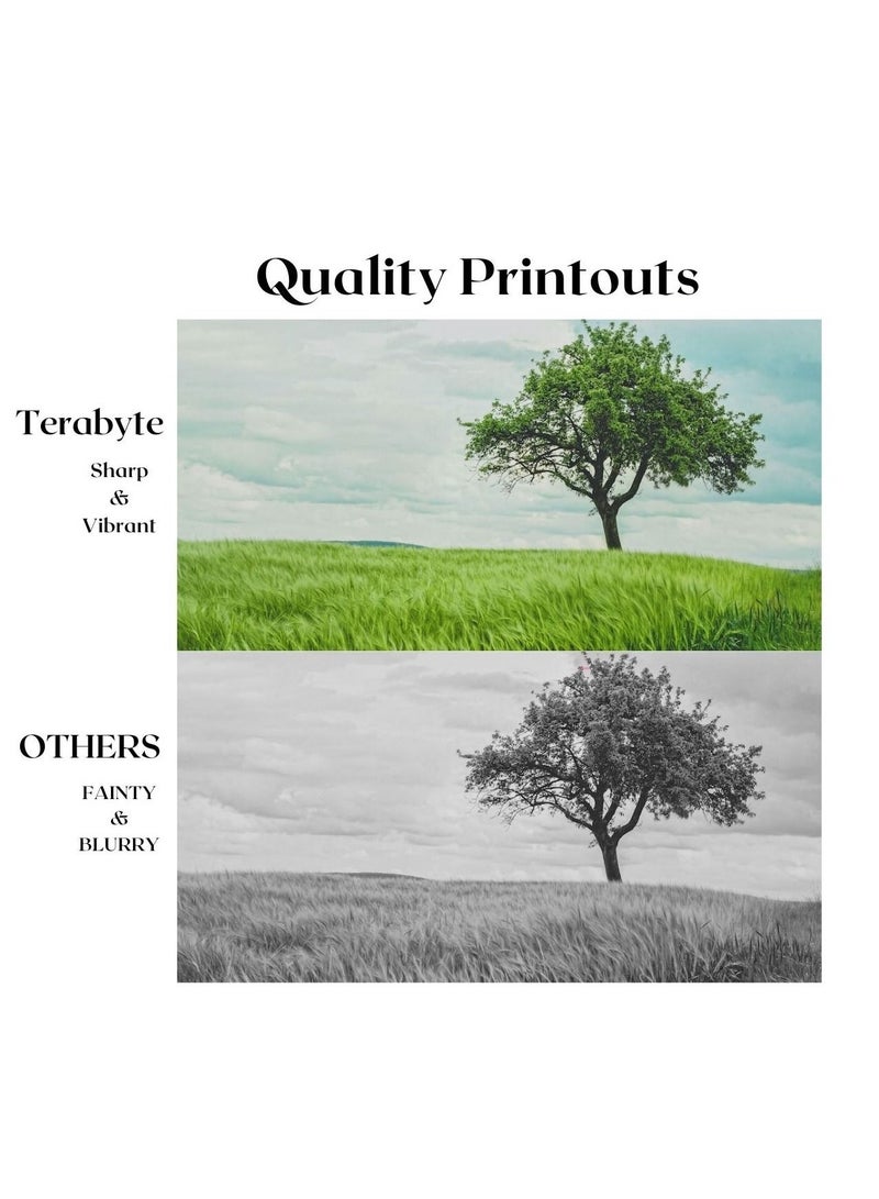 TERABYTE TONER CARTRIDGE TN3320/TN720 BLACK - Image 4