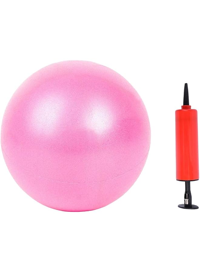 PROMASS Mini Yoga Pilates Ball 10 Inch for Stability Exercise Training Gym Anti Burst and Slip Resistant Balls with Inflatable Straw  - Image 1