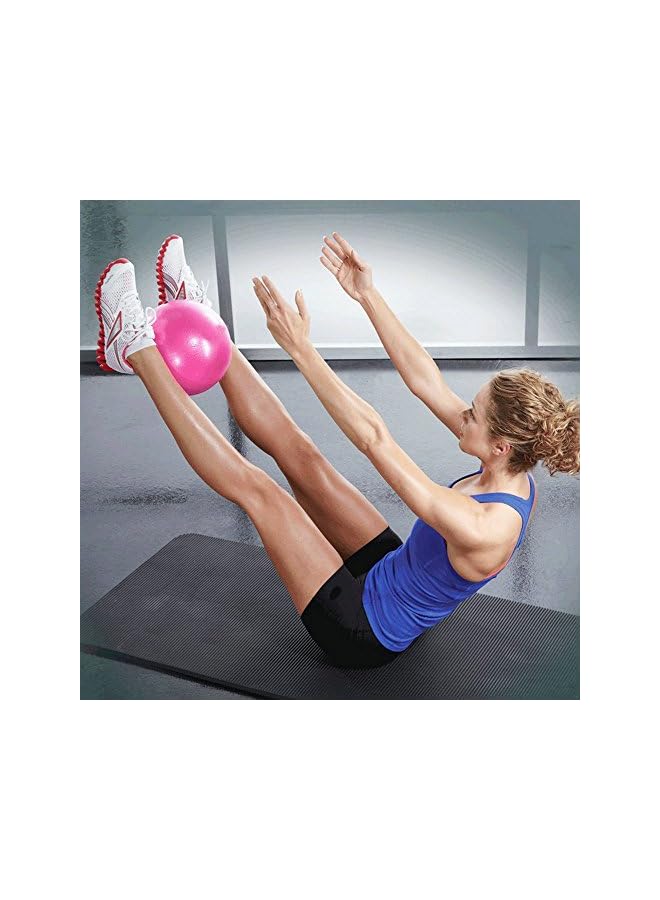 PROMASS Mini Yoga Pilates Ball 10 Inch for Stability Exercise Training Gym Anti Burst and Slip Resistant Balls with Inflatable Straw  - Image 2