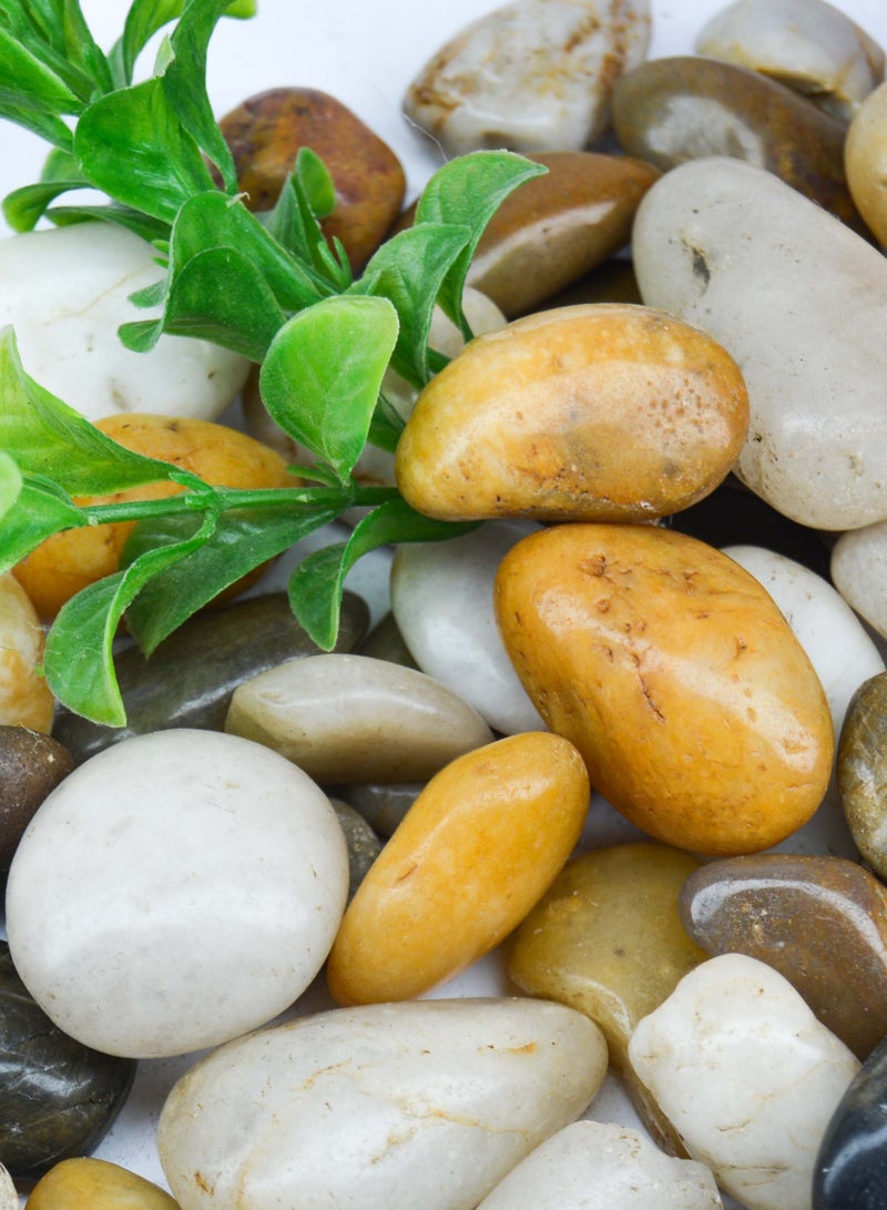 vsell24 5kg of 3-5cm Indian Decorative Stones - Natural Smooth Pebbles for Aquariums, Vases, Terrariums, Lawns, and Garden Landscaping  - Image 1