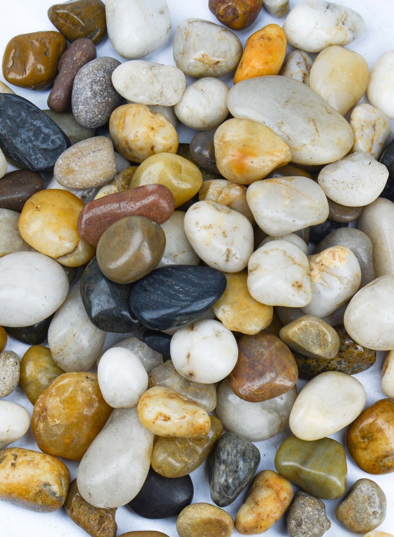 vsell24 5kg of 3-5cm Indian Decorative Stones - Natural Smooth Pebbles for Aquariums, Vases, Terrariums, Lawns, and Garden Landscaping  - Image 2