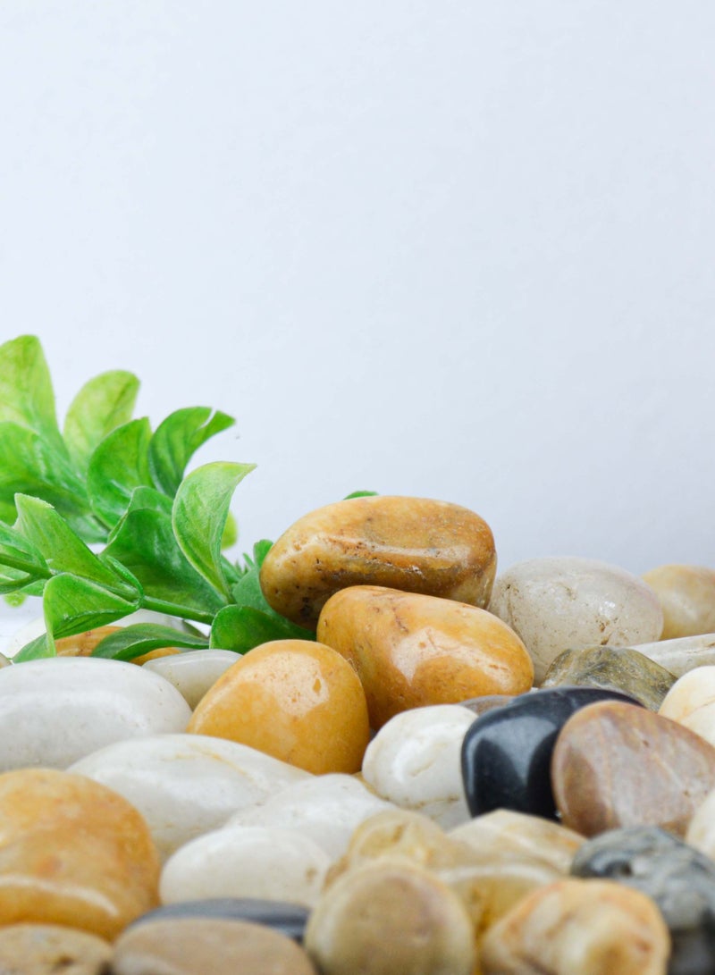 vsell24 5kg of 3-5cm Indian Decorative Stones - Natural Smooth Pebbles for Aquariums, Vases, Terrariums, Lawns, and Garden Landscaping  - Image 4