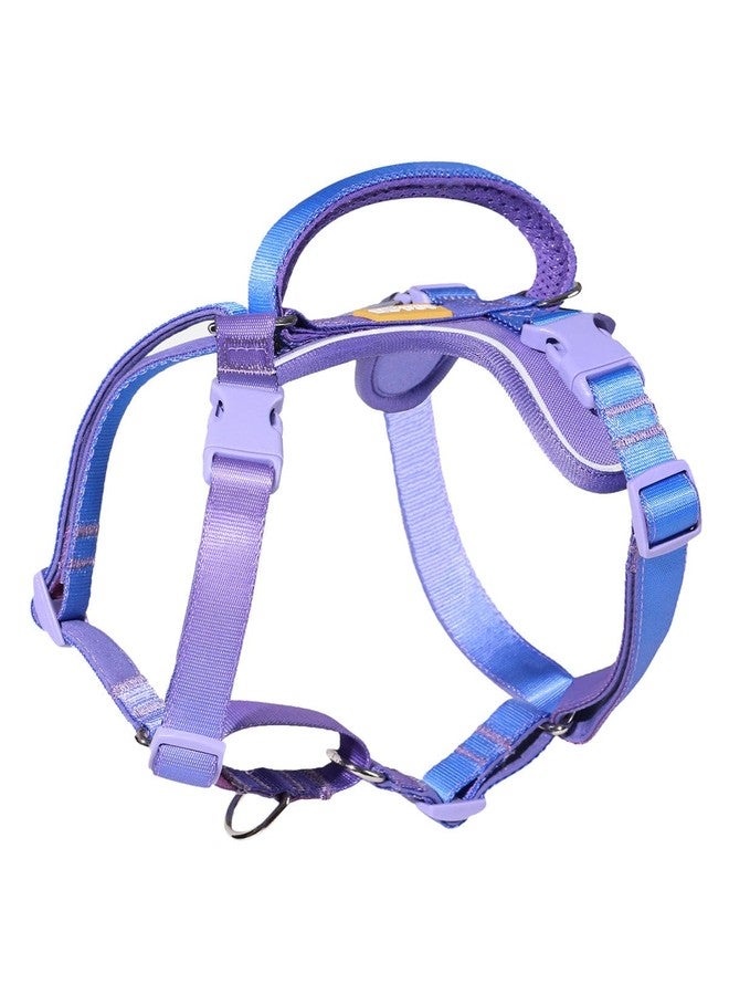 DF Freedom No Pull Martingale Dog Harness, Gentle Control for No Choking, Front Clip Harness with Reflective, Adjustable & Padded Handle for Easy Walking & Training, Rainbow, 1", Chest 22.4"-30.4" - Image 1