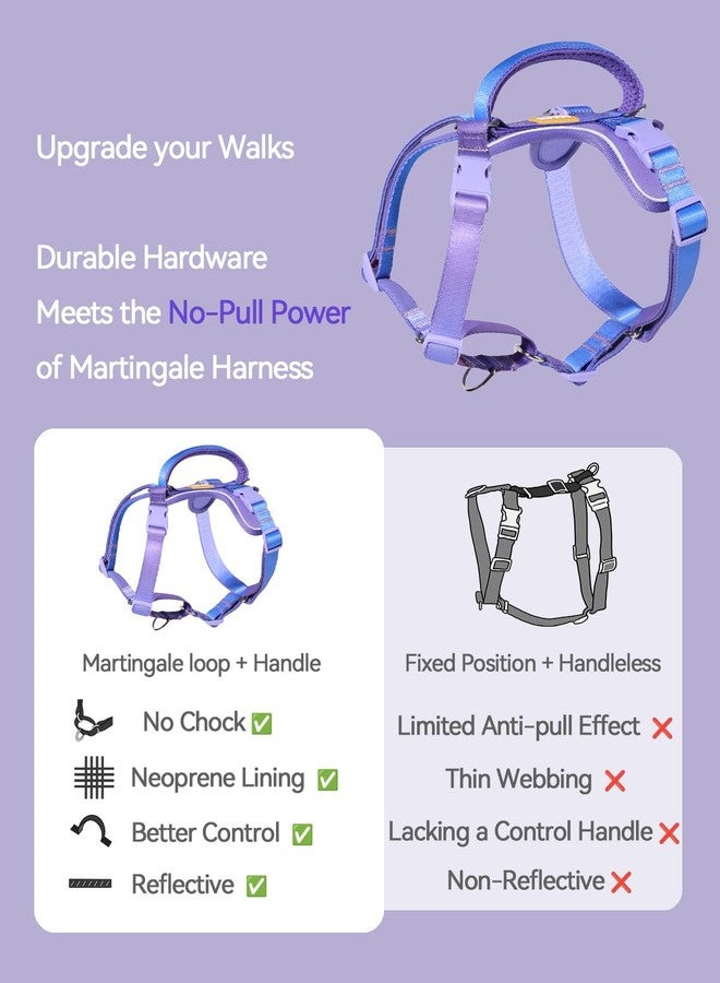 DF Freedom No Pull Martingale Dog Harness, Gentle Control for No Choking, Front Clip Harness with Reflective, Adjustable & Padded Handle for Easy Walking & Training, Rainbow, 1", Chest 22.4"-30.4" - Image 4