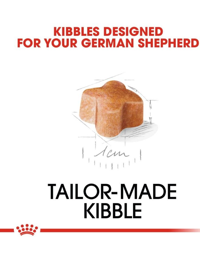 ROYAL CANIN Breed Health Nutrition German Shepherd Puppy 12 KG - Image 2
