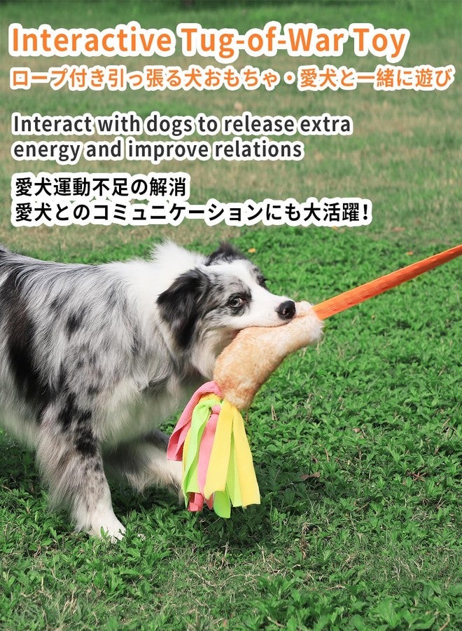SCHITEC Dog Tug Toy, Bungee Tug of War Rope Toys with Squeaky Sound for Exercise & Interactive Play Games, Puppy Training Pull Toy for Small Medium Large Dogs - Image 2
