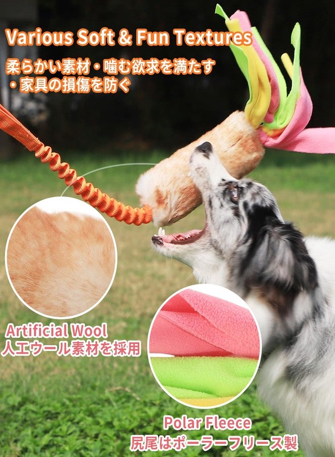SCHITEC Dog Tug Toy, Bungee Tug of War Rope Toys with Squeaky Sound for Exercise & Interactive Play Games, Puppy Training Pull Toy for Small Medium Large Dogs - Image 5
