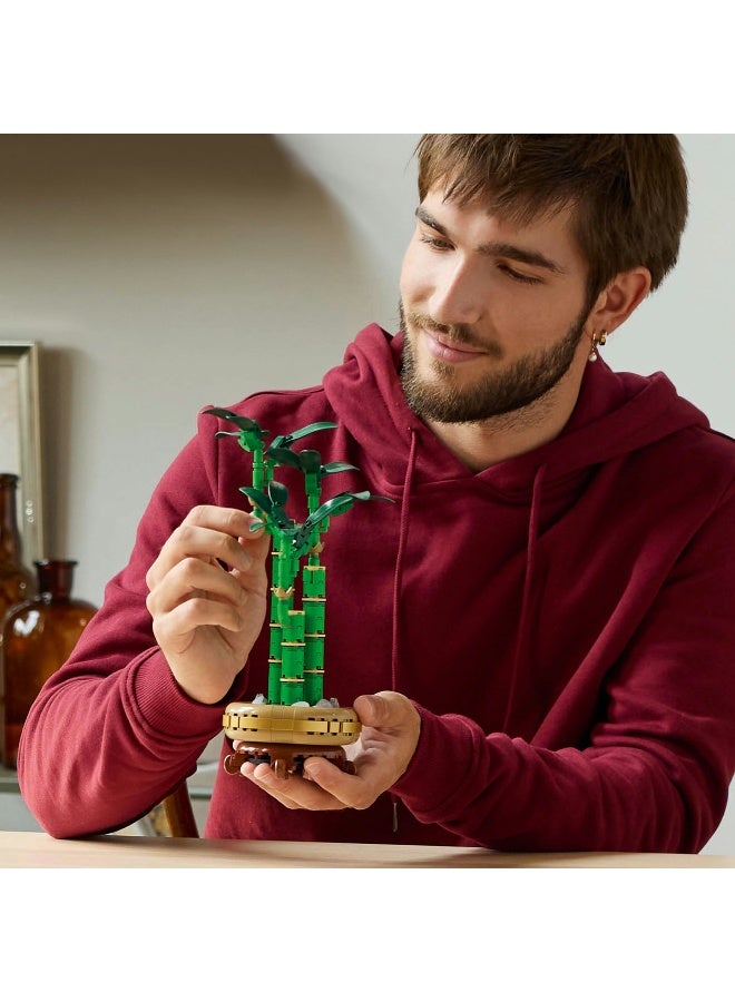 LEGO LEGO Botanicals Lucky Bamboo Plant Decor 10344 Building Set (325 Pieces)  - Image 3