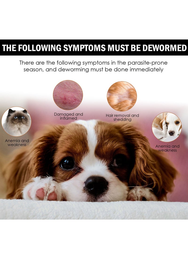 YEGBONG Flea and Tick Drops for Dogs and Cats, Fast Acting Flea Treatment, Flea and Tick Prevention for Dogs and Cats, Safe and Effective - Image 5