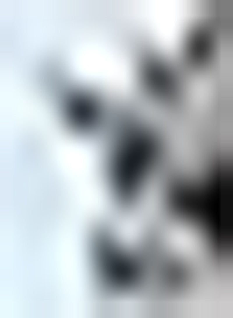 GGOOT 200pcs Paulownia Seeds Variety Decorative Garden Simple Planting for Landscaping and Bonsai Design Allows Children to Enjoy The Fun of Planting - Image 2