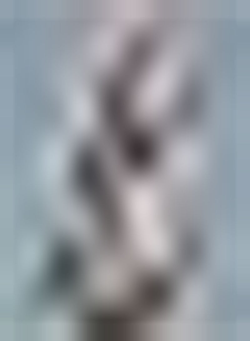 GGOOT 200pcs Paulownia Seeds Variety Decorative Garden Simple Planting for Landscaping and Bonsai Design Allows Children to Enjoy The Fun of Planting - Image 1