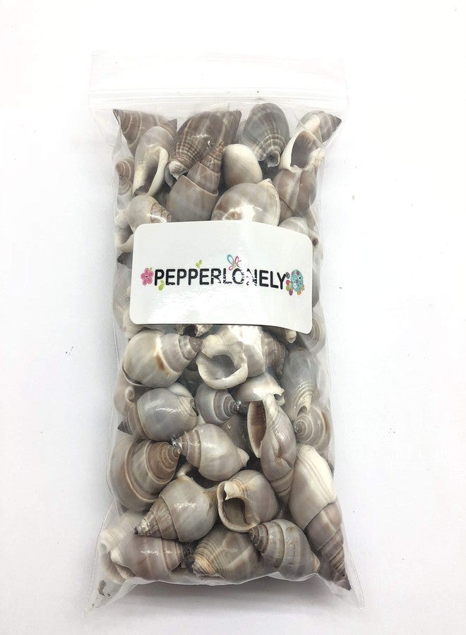PEPPERLONELY Brown Marginellas Hermitcrab Sea Shells, 6 OZ Approx. 100+PC Shells, 1 Inch ~ 1-1/2 Inch - Image 4