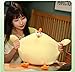 Maomoto Funny Fat Chicken Plush Pillow Super Soft Mother Hen Doll Cute Chicken Neck Pillow Yellow Plush Stuffed Animal for Boys Girls Festival Gifts - Image 2