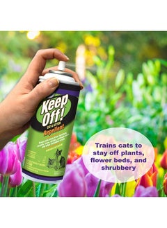 four paws Keep Off! Cat Repellent Spray Outdoors & Indoor 6 Ounces  - Image 3