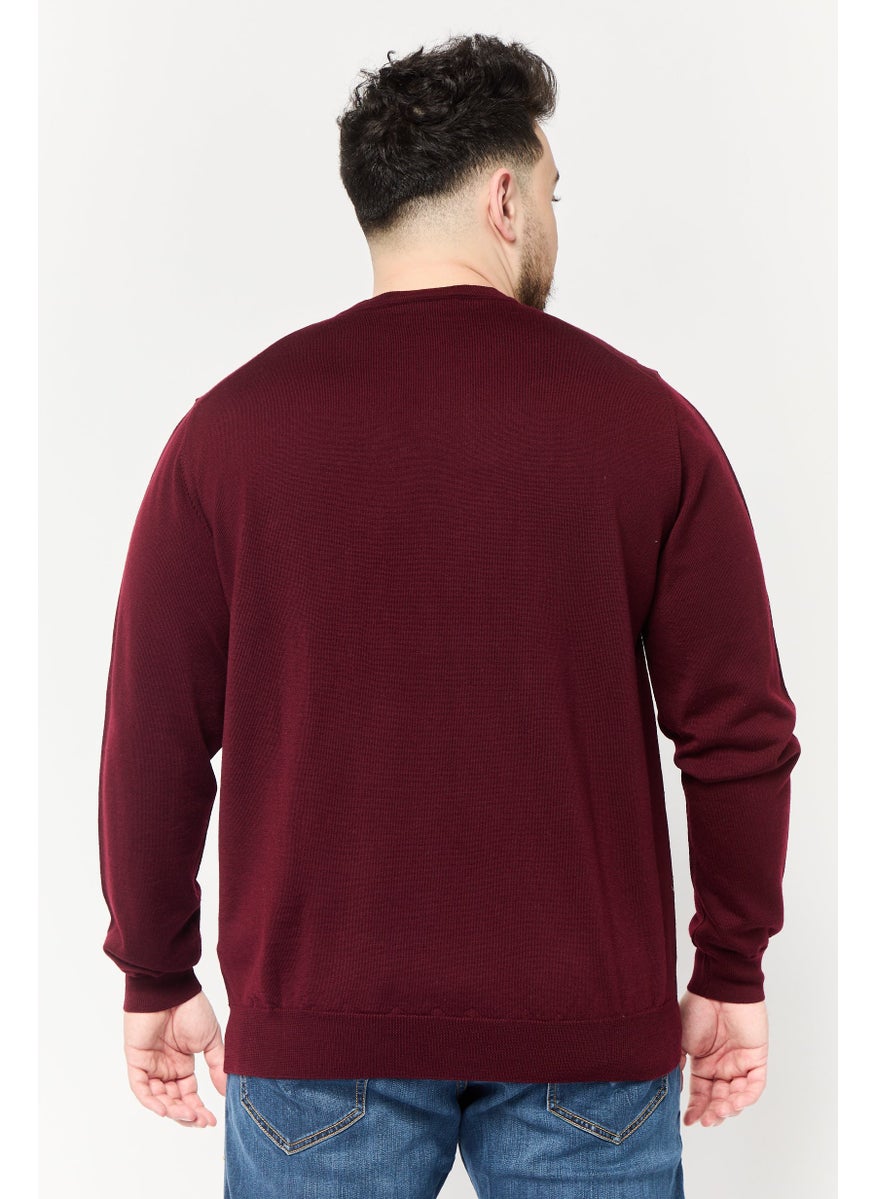 Harmont & Blaine Men Crew Neck Textured Sweater, Maroon  - Image 4