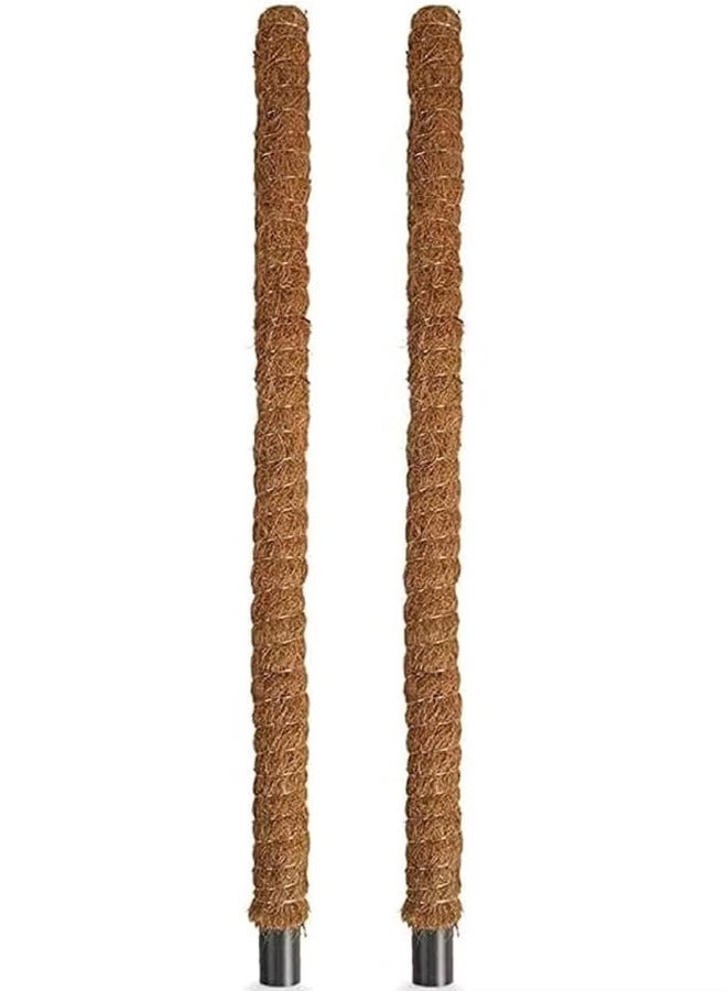 Generic 2Pcs Moss Stick for Plant Support Extension, Climbing Indoor Plants to Grow Upwards - Use for Creepers | Dia 4.50 cm, Length 100 cm 