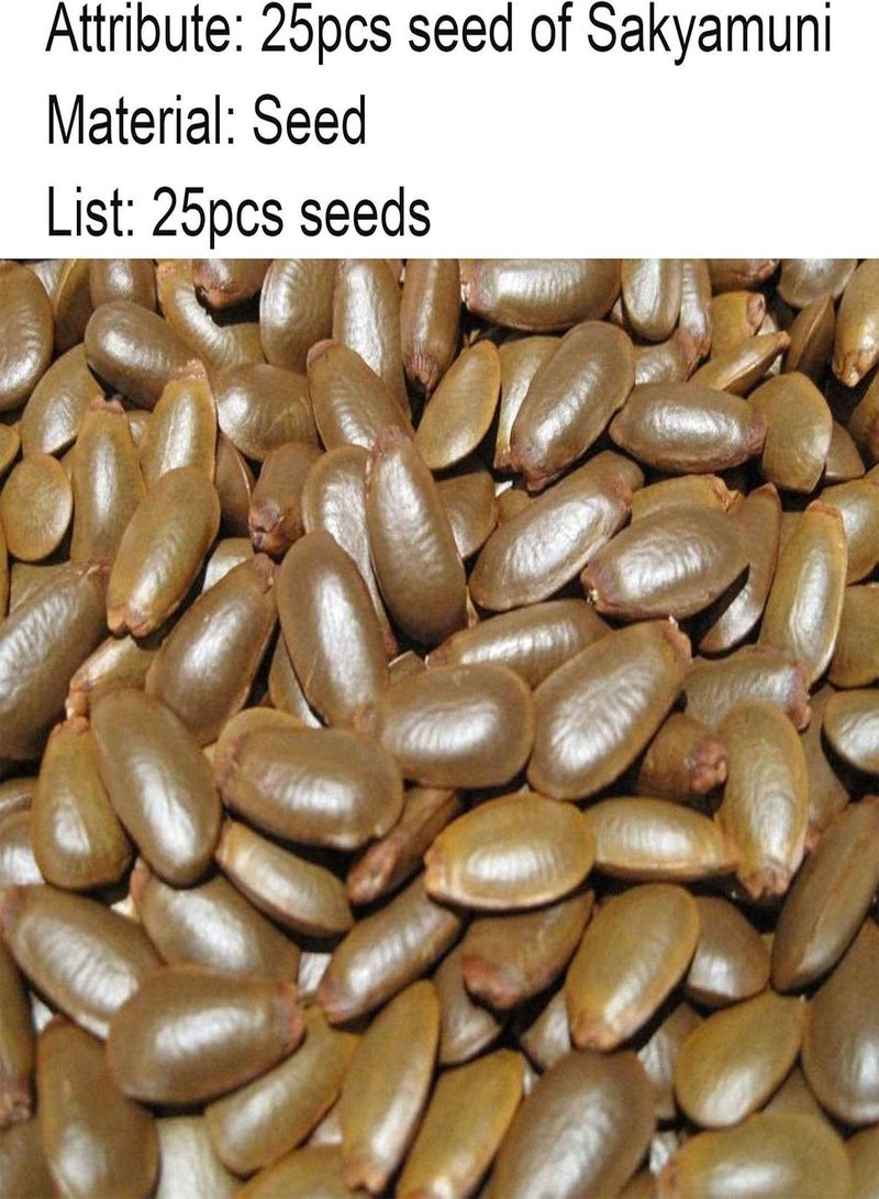 GGOOT Seed for Planting,25Pcs/Bag Sakyamuni Seeds Nutritive Disease Resistant Compact Fresh Natural Custard Apples Seeds for Courtyard Sakyamuni Seeds-Seed - Image 4