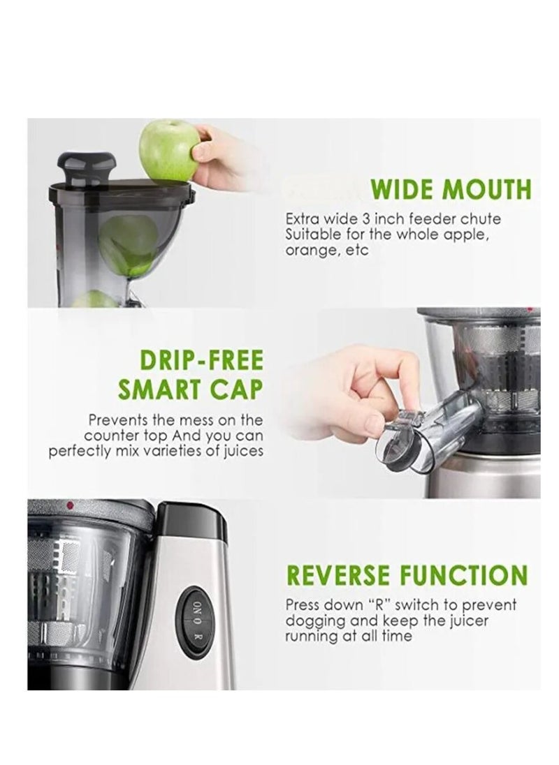 DISNIE - Disnie Slow Juicer, Cold Press Juicer with Quiet Motor Operation & Easy to Clean, Vegetables & Fruits Masticating Juicer Juice Extractor Machine - Image 1