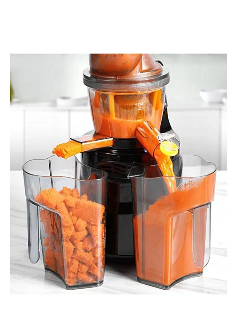 DISNIE - Disnie Slow Juicer, Cold Press Juicer with Quiet Motor Operation & Easy to Clean, Vegetables & Fruits Masticating Juicer Juice Extractor Machine - Image 1