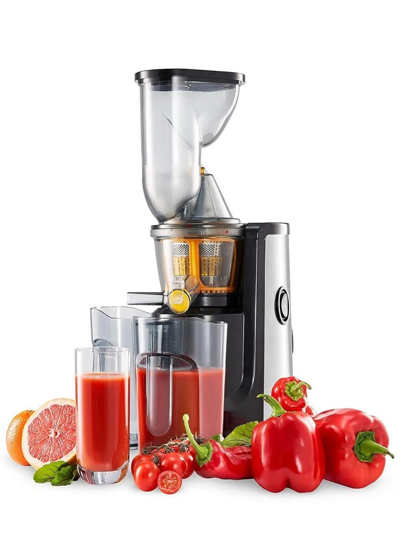 DISNIE - Disnie Slow Juicer, Cold Press Juicer with Quiet Motor Operation & Easy to Clean, Vegetables & Fruits Masticating Juicer Juice Extractor Machine - Image 1