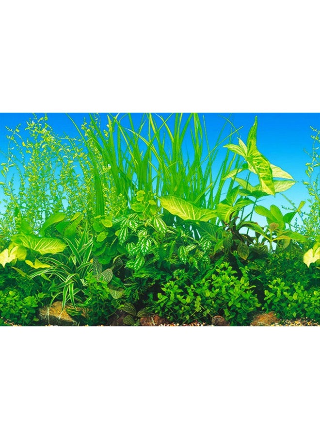 ELEBOX ELEBOX New 20" x 48" Fish Tank Background Paper Wallpaper 2 Sided Colorful Seaweed Water Plants Aquarium Background Picture  - Image 2