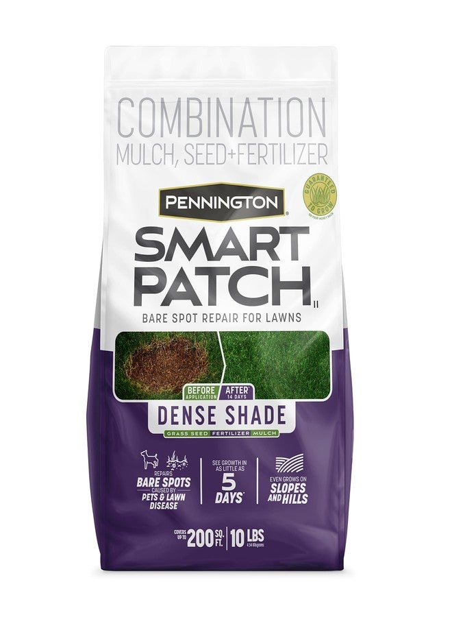 Pennington Smart Patch Dense Shade Mix 10 lb - Image 1