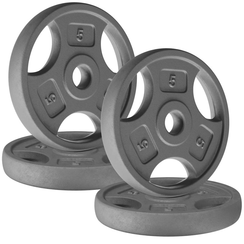 Yes4All 1 Inch Grip Cast Iron Weight Plates for Dumbbells Standard Weight Plates 5lb 4pcs