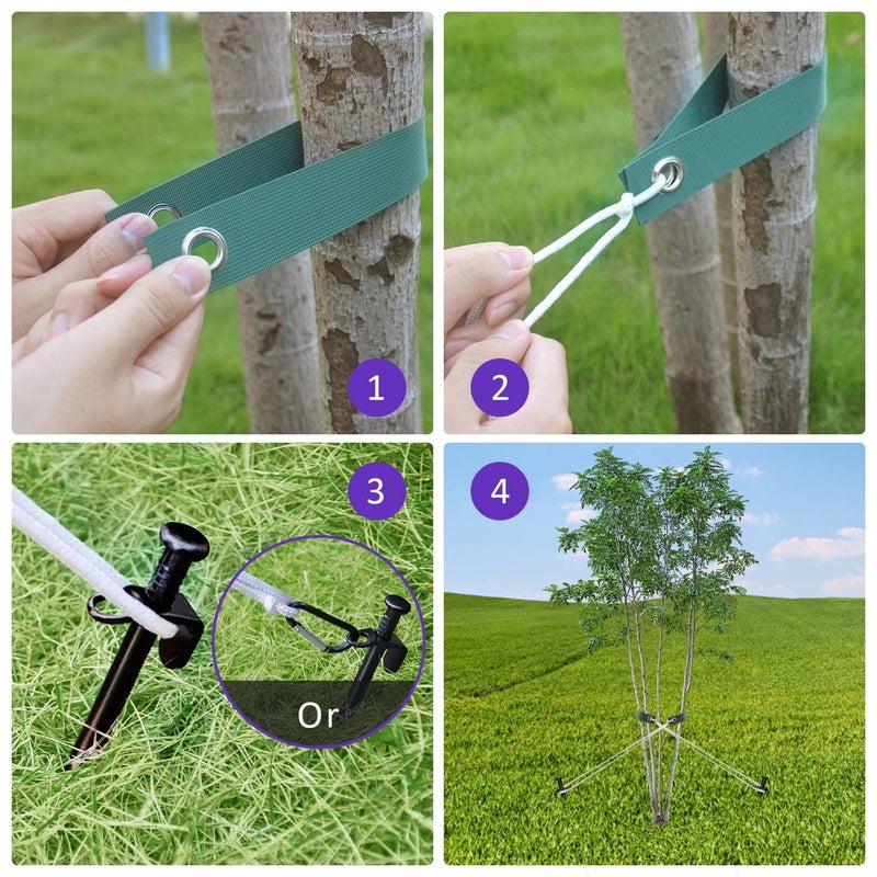 FCENDS Heavy Duty Steel Tree Stake Kits,Tree Staking and Supports Kits for Young Trees Against Bad Weather, Include 3 PCS Tree Straps for Staking, 3 PCS 11.8 Inch Tree Stakes and 31.2 Feet Rope for Anchoring - Image 2
