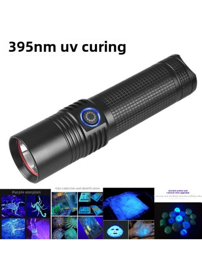 395nm High Power Violet Flashlight Scorpion Lamp UV Curing Lamp LED UV Light Ink Shadowless Glue Curing-Product Specifications:395 Purple Light (20w Battery + Gift Box) - Image 1