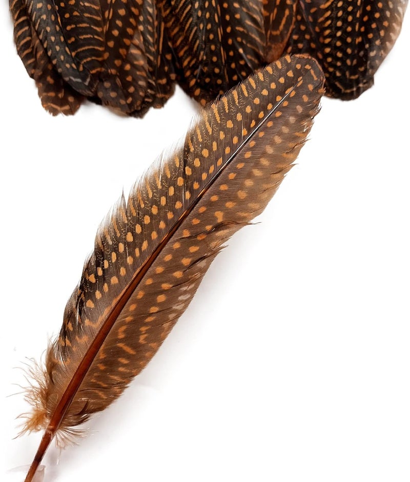 HAPPY FEATHER 6-9 inch Natural Guinea Wing Plumage Feather for DIY Craft, Jewelry and Clothing Decoration Pack of 20-Orange - Image 2
