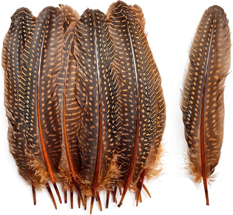 HAPPY FEATHER 6-9 inch Natural Guinea Wing Plumage Feather for DIY Craft, Jewelry and Clothing Decoration Pack of 20-Orange - Image 1