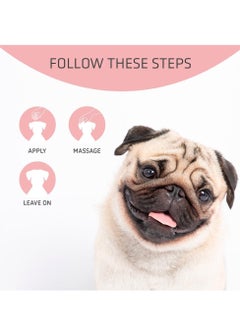 ARTERO Dfender The solution to damaged plantars and cracked noses in dogs  - Image 5