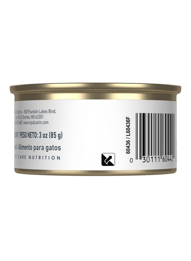 ROYAL CANIN Feline Care Nutrition Hair & Skin Care Thin Slices In Gravy Canned Cat Food, 3 Ounce (Pack Of 24) - Image 3