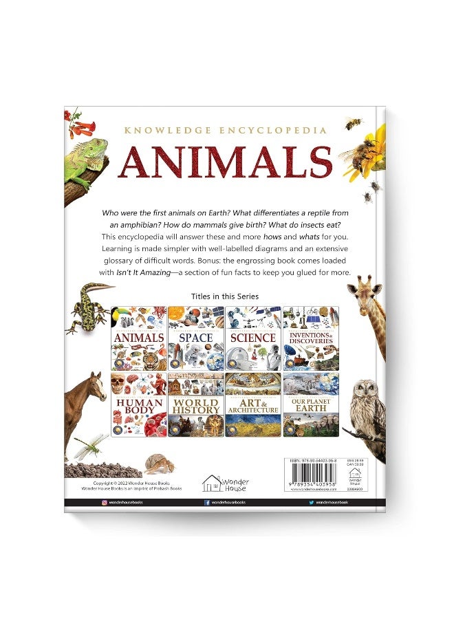 Knowledge Encyclopedia - Animals - Image 2