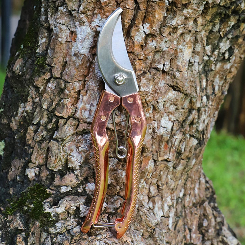 Bypass Pruning Shears Stainless Steel Garden Shears Garden Clipper Heavy Duty Pruners Secateurs Gardening Trimmer Scissors - Image 3