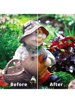 Rejuvenate Outdoor Color Restorer 16 Fluid Ounce  - Image 4
