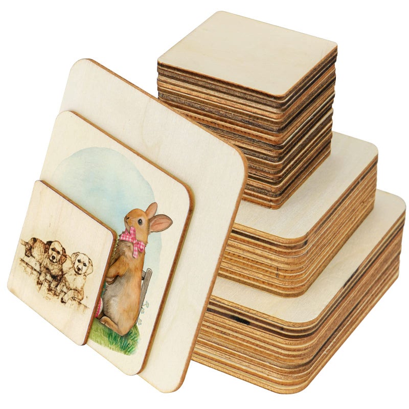 Meetory 42 Piece Unfinished Blank Wood Square3 Different Size Wood Square Slices Cutouts for DIY Arts Craft Project Pyrography Art Painting Writing and Decoration3 Sizes 2 3 4