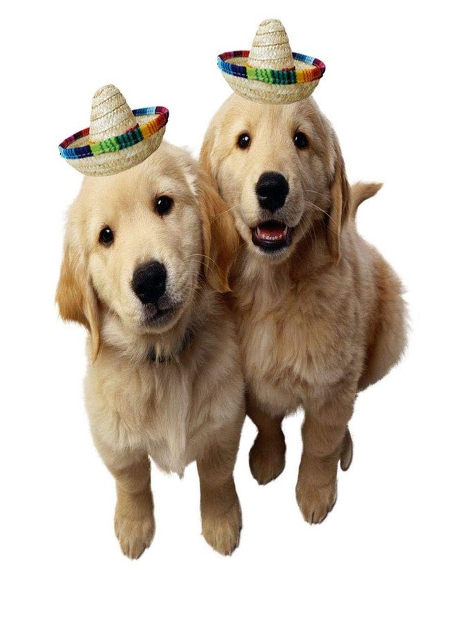 Crazy Night 6PCS Natural Straw Mini Sombrero Mini Mexican hat,Tabletop Party Supplies,Fiesta Party Birthday Party Decor Cinco de Mayo Party - Image 5