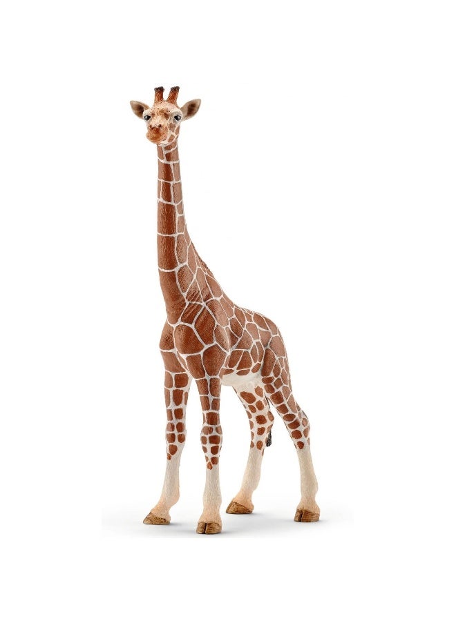 Schleich تمثال زرافة أنثوية من شلايش (بني) - Image 2