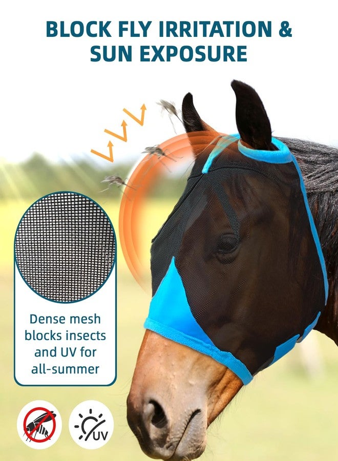 Hilltown Fly Masks for Horses Without Ears - Breathable Mesh, Large Eye Space, UV-Block, Built to Last, Comfort Fit - Horse Fly Mask for Grazing, Hot Weather Riding & Daily Use - Pony, Blue - Image 2