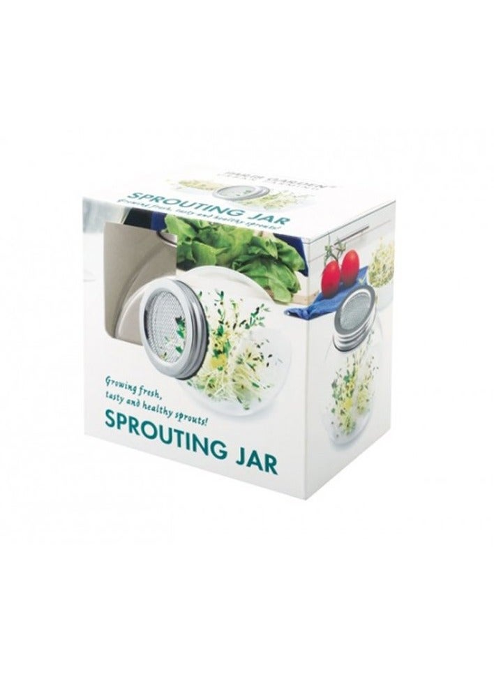 KNP Sprouting Jar - 105x105x78mm 