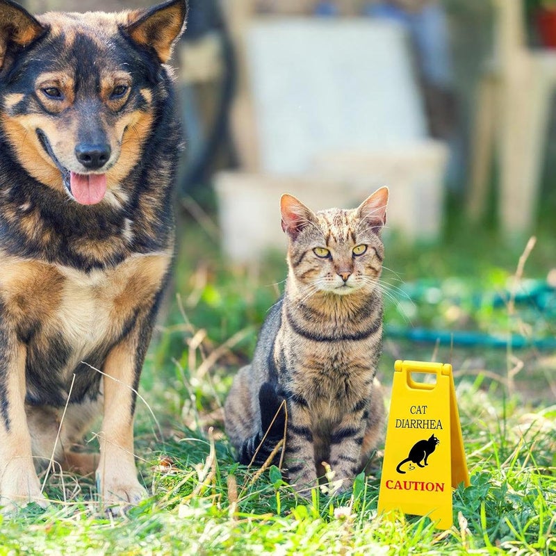 Cat Vomit Sign, 3d Printed Funny Caution Sign, Novelty Black Cat Humor Desk Decoration, 4.72x2.36x4.72 Inches, Cute Gag Gift Classroom, Bathroom Decor, Perfect for Cat Lovers and Animal Enthusiasts - Image 4