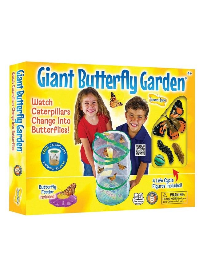 Giant Butterfly Garden With Habitat Voucher Green/White - pzsku/ZC49B96D03D748F3BE818Z/45/_/1687933692/a4bc222b-3db9-4e68-b288-bc95d7681a24