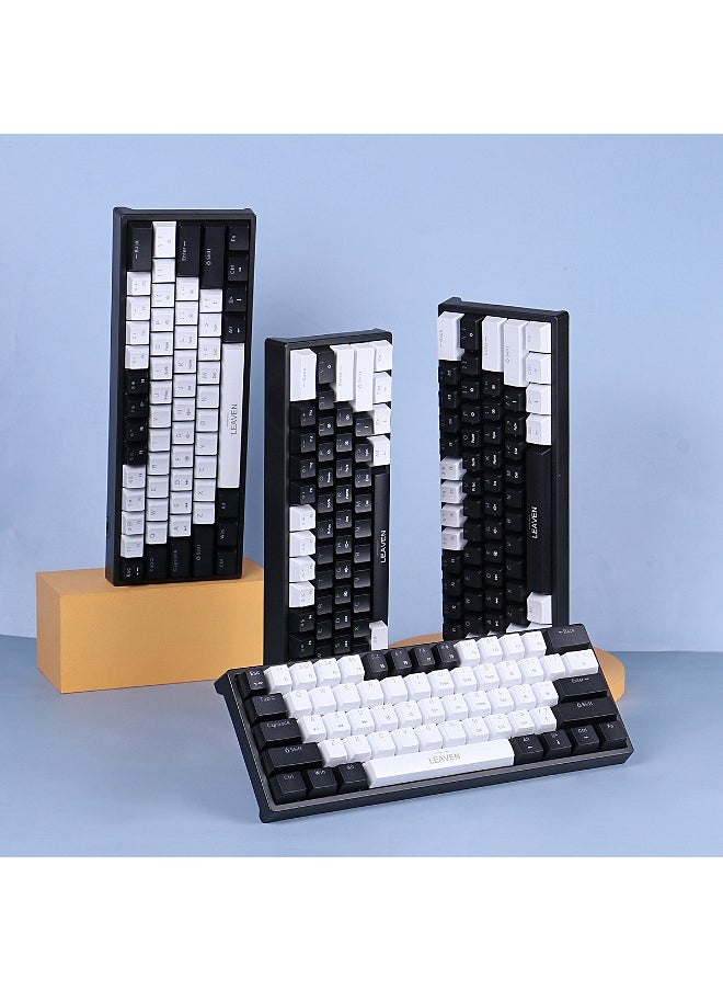 LEAVEN - 61-Key Wired Keyboard - Hot Swap - Red Switch - Mechanical Keyboard - Gaming Keyboard - Office Keyboard - RGB Lighting Effect - Computer Keyboard - Image 1
