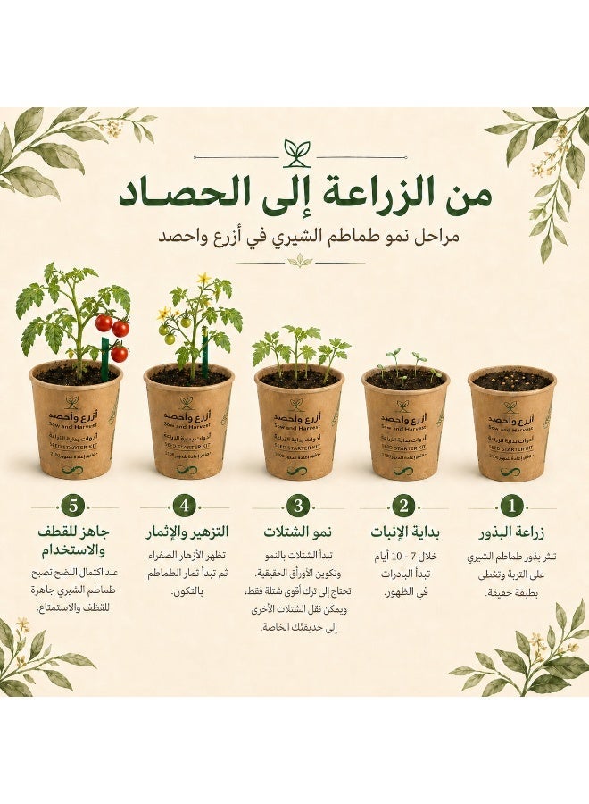Bathurat 6 boxes Plant & Harvest – Cherry Tomato – Planting Tools in Cup with Soil & Seeds – Home Farming, Suitable for School & Business Distributions – Made from Recycled Materials - Image 5