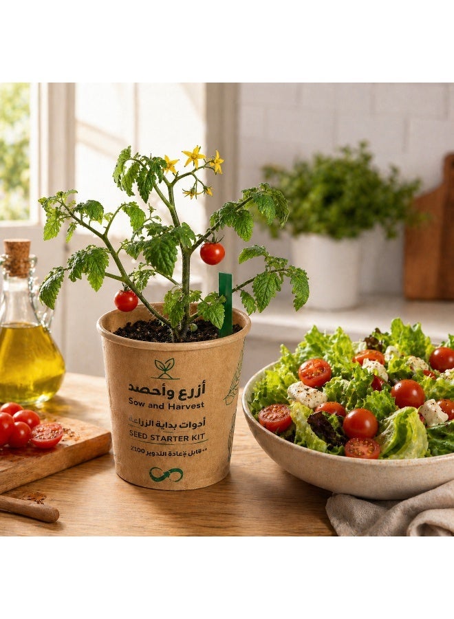 Bathurat 6 boxes Plant & Harvest – Cherry Tomato – Planting Tools in Cup with Soil & Seeds – Home Farming, Suitable for School & Business Distributions – Made from Recycled Materials - Image 2