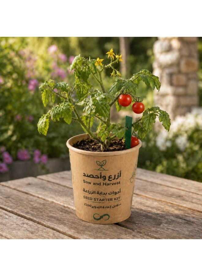 Bathurat 6 boxes Plant & Harvest – Cherry Tomato – Planting Tools in Cup with Soil & Seeds – Home Farming, Suitable for School & Business Distributions – Made from Recycled Materials - Image 3