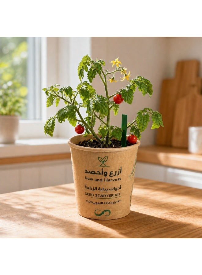 Bathurat 6 boxes Plant & Harvest – Cherry Tomato – Planting Tools in Cup with Soil & Seeds – Home Farming, Suitable for School & Business Distributions – Made from Recycled Materials - Image 4