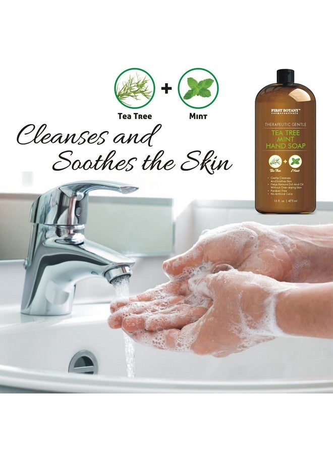 First Botany Tea Tree Mint Hand Soap - Liquid Hand Soap with Peppermint, Jojoba & Coconut Oil Multipurpose Liquid Soap Natural Bathroom Soap & Liquid hand wash - 16 oz - Image 2